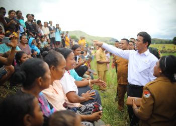 Mentan Amran Dampingi Wapres Gibran ke NTT, Tegaskan Komitmen Terus Dorong Kemajuan Pertanian