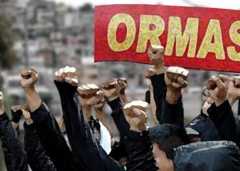 Ormas