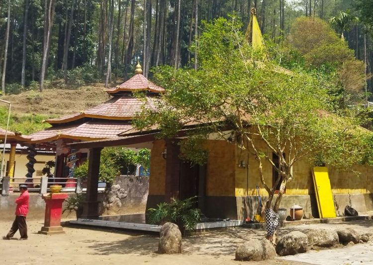 Pohon dewandaru