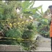pergerakan tanah