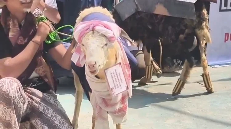 Ponpes Dzikir Al-Fath