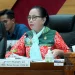 pendidikan gratis