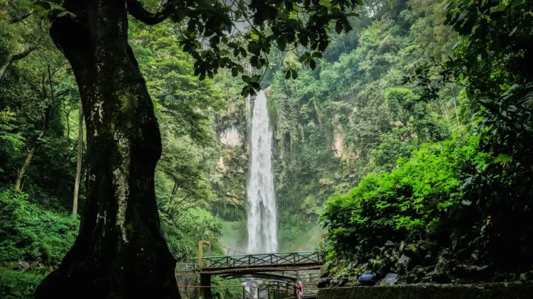 Grojogan Sewu