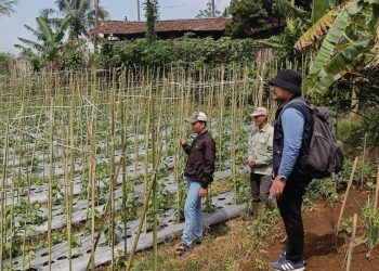 Polbangtan Kementan Lakukan Verval di 5 Kabupaten, Pastikan 248 Penerima Manfaat Tepat Sasaran