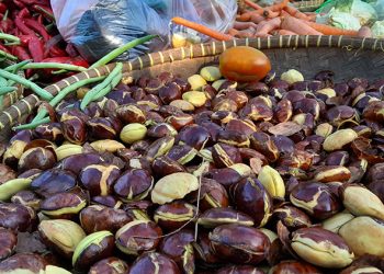 Harga Jengkol