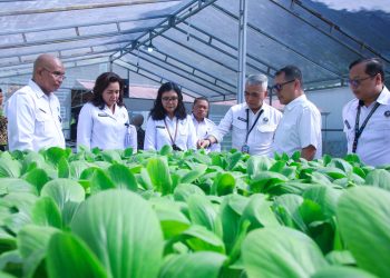 BNN Gandeng Yayasan Mitra Organik Program Perkuat Kemandirian Pascarehabilitasi Klien