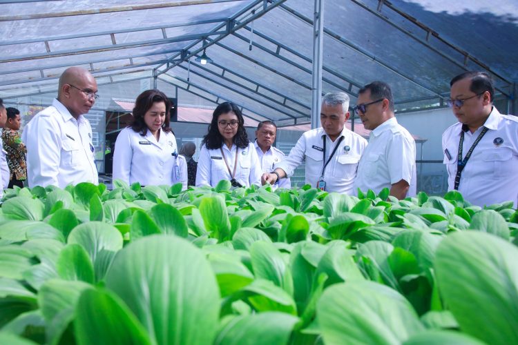 BNN Gandeng Yayasan Mitra Organik Program Perkuat Kemandirian Pascarehabilitasi Klien