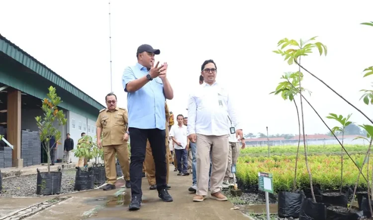 Bupati Rudy Susmanto kunjungi Balai Persemaian Modern Rumpin untuk mendukung penghijauan berkelanjutan.