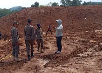 proyek peternakan ayam