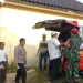 Tertabrak Kereta