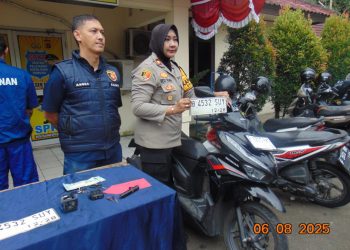 IPB
