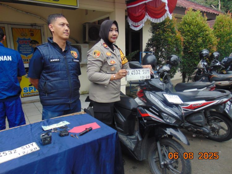 IPB