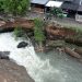 Bantaran Sungai Ciliwung