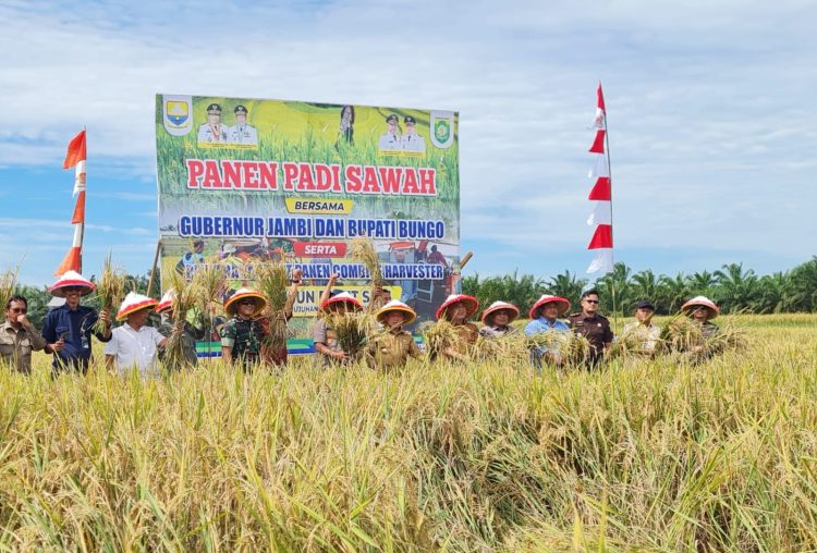 Kawal Swasembada Pangan, Polbangtan Kementan dan Gubernur Jambi Gelar Panen Raya dan Tanam Bersama Sumber Foto : POLBANGTAN