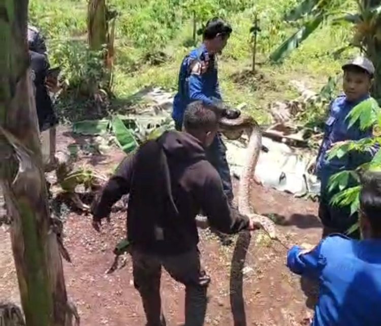 Kecamatan Tamansari