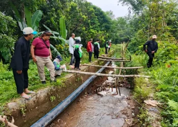 Proyek jaringan Irigasi Tahun 2025 di Jasinga Dimulai, Dukung Ketahanan Pangan Bogor