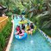 The Jungle Waterpark