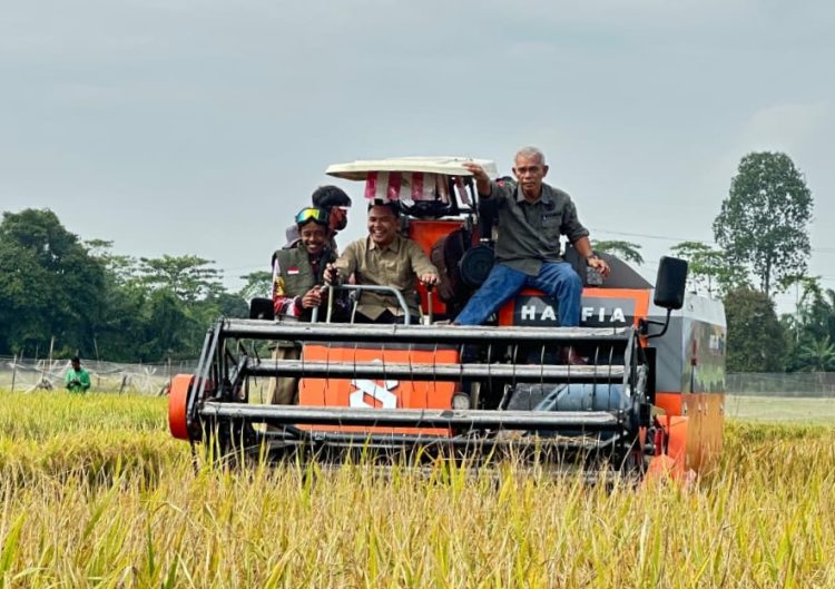 Panen Raya Bersama Polbangtan dan Bapeltan Dukung Swasembada Pangan di Jambi