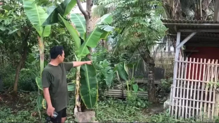 Sosok Diduga Pocong