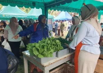 gerakan pangan murah