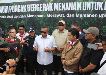 EIGER Adventure Land