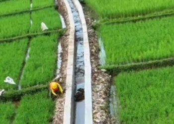 BBWS Ciliwung Cisadane Bangun 171 Titik Saluran Irigasi Tersier Tangerang – Bogor