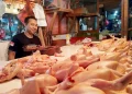 Kebutuhan Program Makan Bergizi Gratis Picu Kenaikan Harga Ayam dan Telur