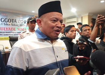Mulyadi