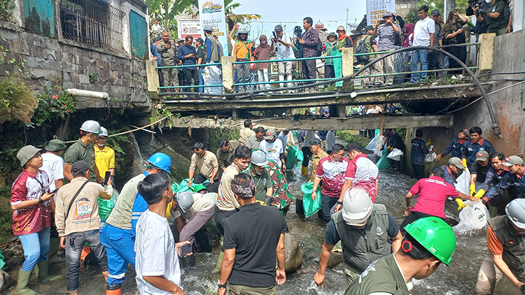 PLN