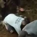 pekerja proyek tewas