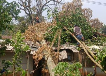Diterjang Angin Puting Beliung