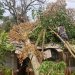 Diterjang Angin Puting Beliung