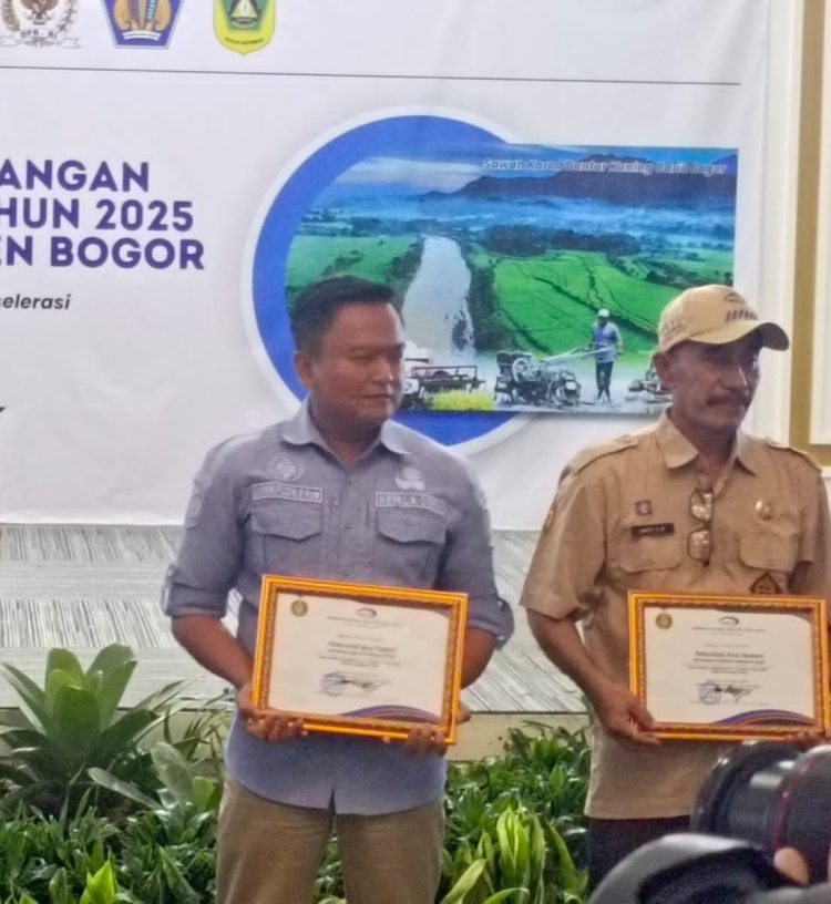 Desa Palasari