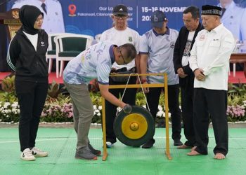 690 pesilat