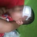 balita korban pohon tumbang