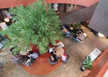 Raindear Coffeehouse
