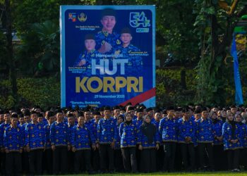 PPPK Paruh Waktu