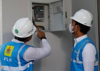 Petugas PLN