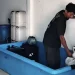 kejari
