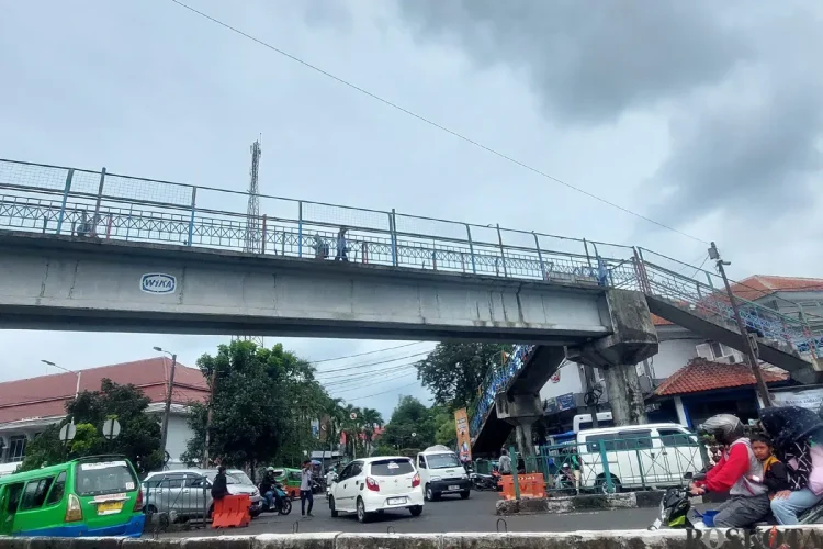 JPO
