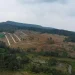 Puncak Dua