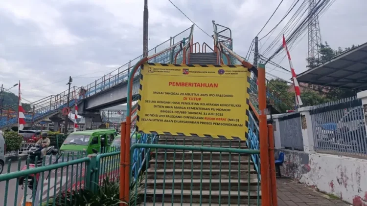 JPO