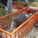 Arca Gajah