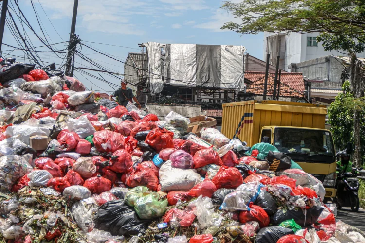 sampah
