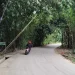 Jalan AMD–Cibentang