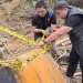 Kasus Kayu Gelondongan