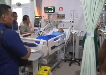 tertancap besi cakar ayam