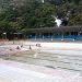 Kolam Renang Mila Kencana