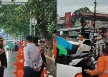 parkir liar