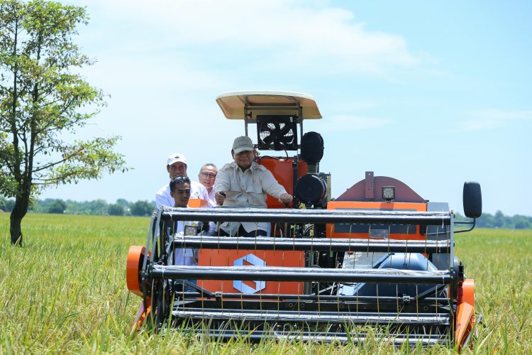 Akademisi Unand : Transformasi Kebijakan ala Mentan Amran Dorong Ekosistem Pangan Nasional yang Tangguh